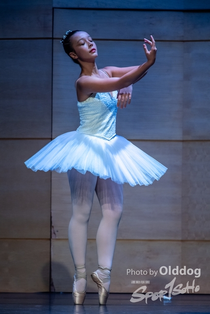 Dance-365