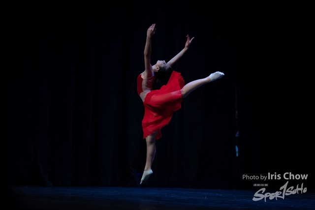 CYY_1141