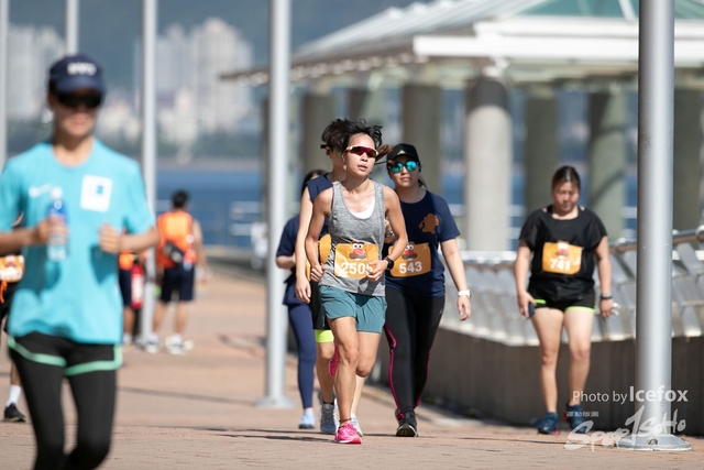 20190922_Pototo_Run_SOHO_5KG1-10