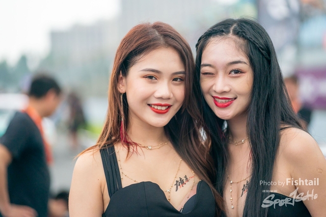 3CY02669