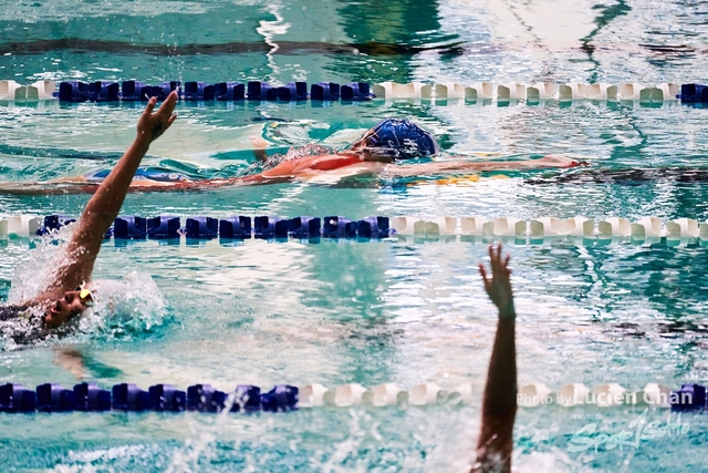2019-10-18 Inter-School Swimming Competition D1 0179