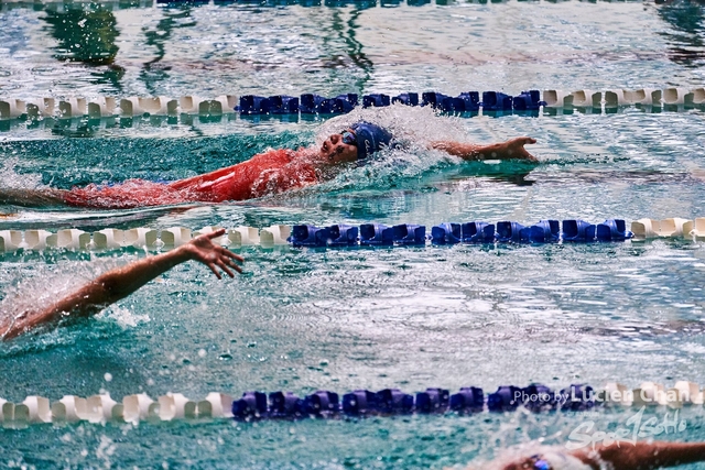2019-10-18 Inter-School Swimming Competition D1 0181