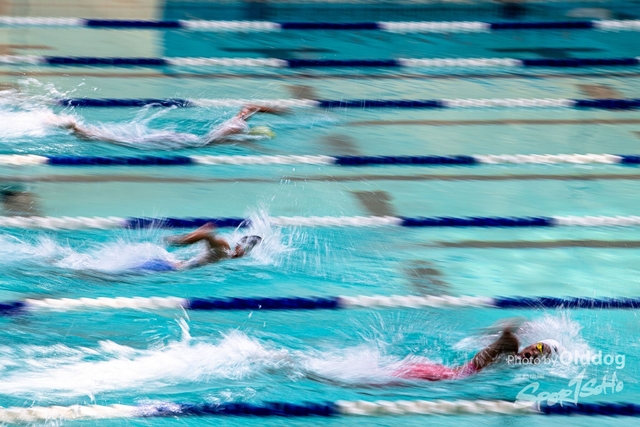 HKSSFswimming-103