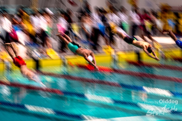 HKSSFswimming-104
