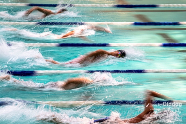 HKSSFswimming-105