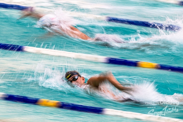 HKSSFswimming-184