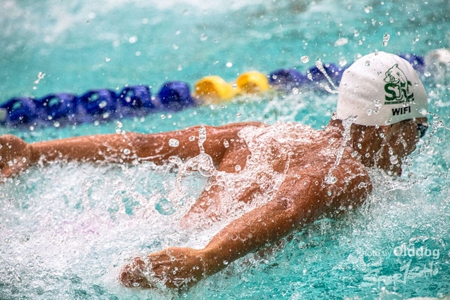 HKSSFswimming-238