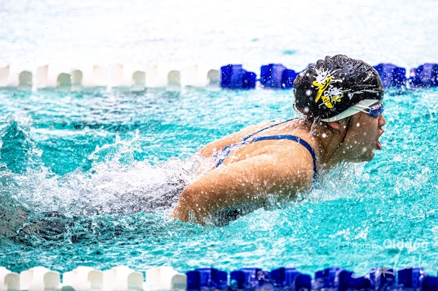 HKSSFswimming-250