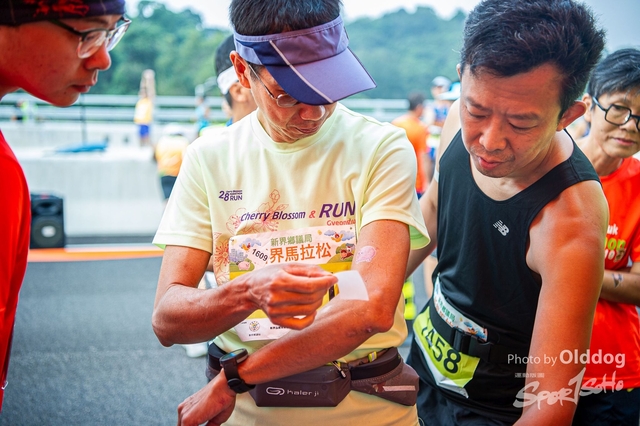 Marathon-7