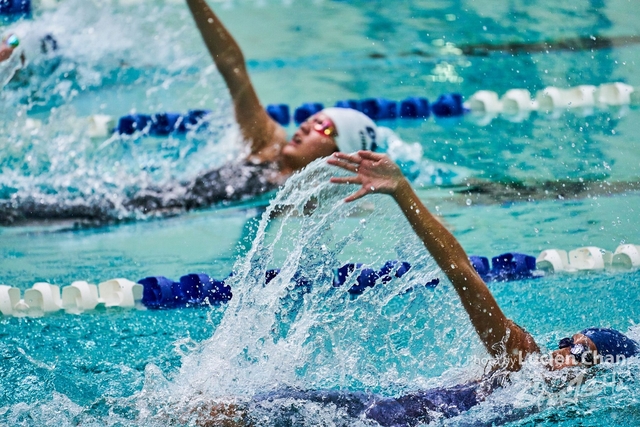 2019-10-25 Inter-School Swimming Competition D1 0136