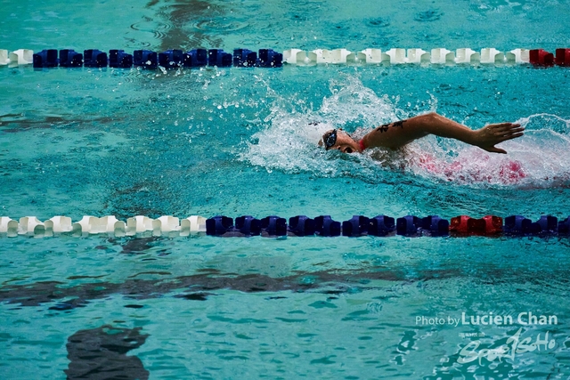 2019-10-25 Inter-School Swimming Competition D1 0301