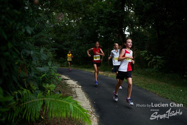2019-10-28 Inter-School Cross Country Competition D1 0047