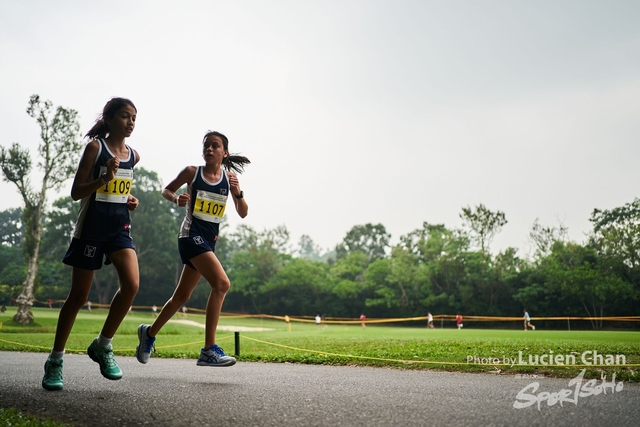 2019-10-28 Inter-School Cross Country Competition D1 0074