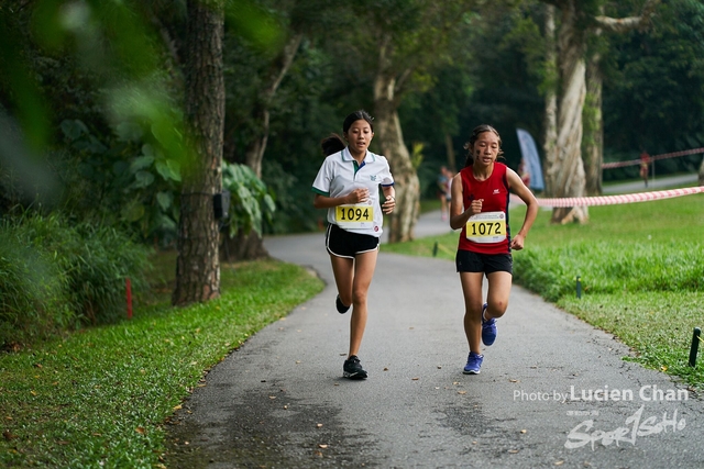 2019-10-28 Inter-School Cross Country Competition D1 0084
