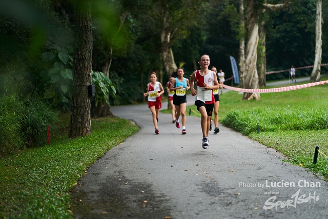 2019-10-28 Inter-School Cross Country Competition D1 0086
