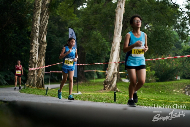 2019-10-28 Inter-School Cross Country Competition D1 0098