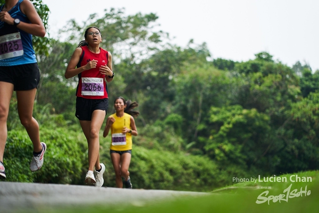2019-10-28 Inter-School Cross Country Competition D1 0132