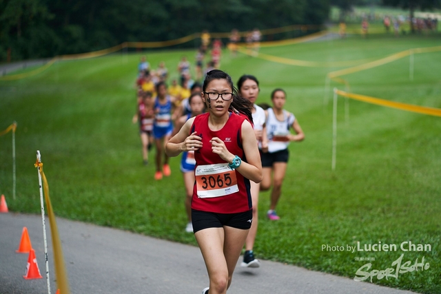 2019-10-28 Inter-School Cross Country Competition D1 0196