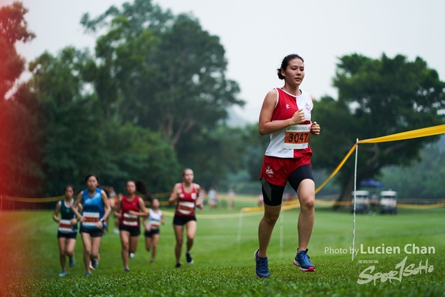 2019-10-28 Inter-School Cross Country Competition D1 0203