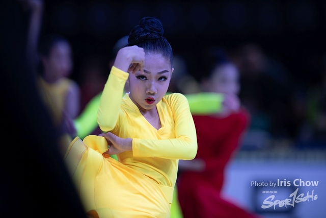CYY_1523