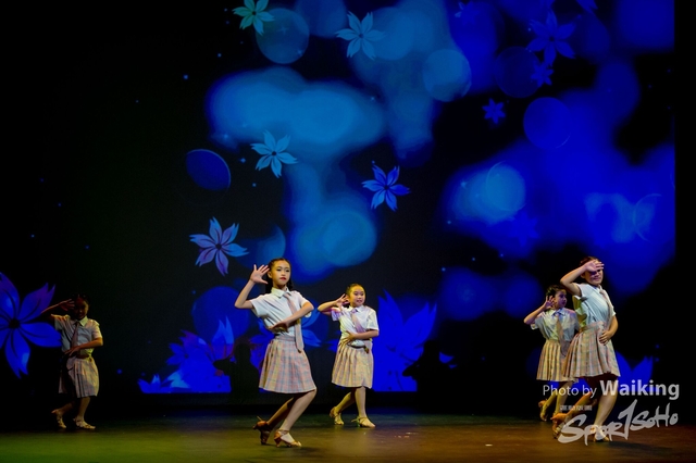 2019-12-29 TWDPAF 0163