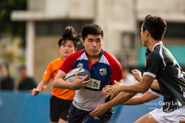 Tertiary Rugby 0151