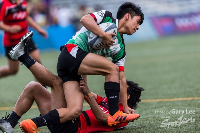 Tertiary Rugby 0262