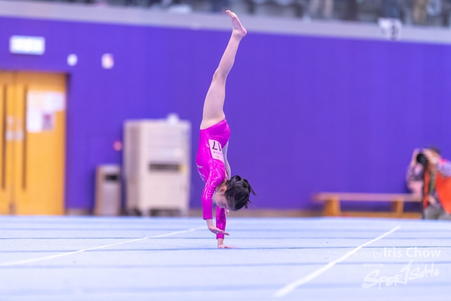 CYY_0308