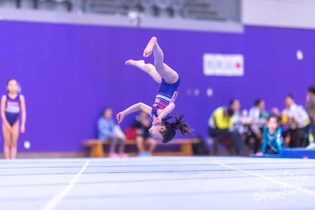 CYY_0533