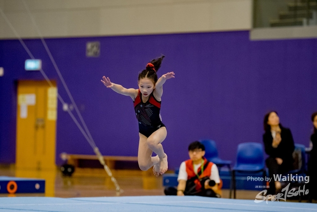 2020-01-19 Artistic Gym 0001