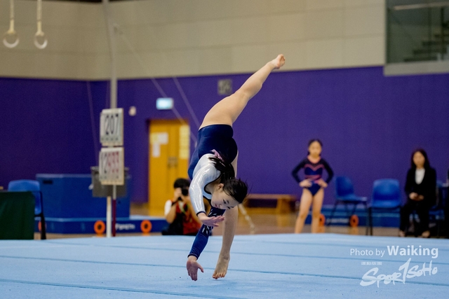 2020-01-19 Artistic Gym 0004