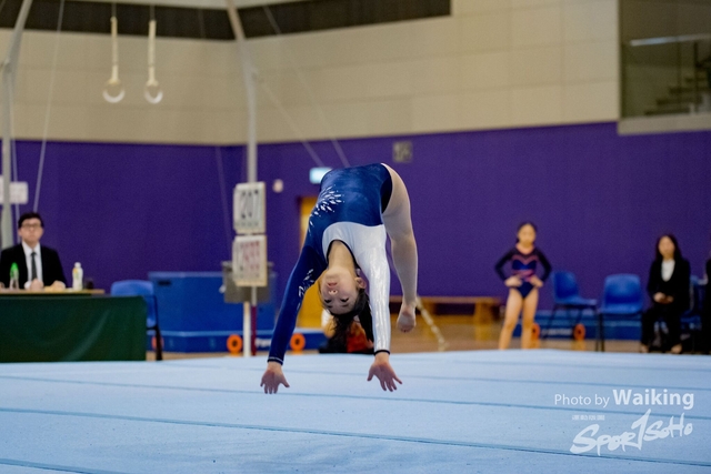 2020-01-19 Artistic Gym 0005