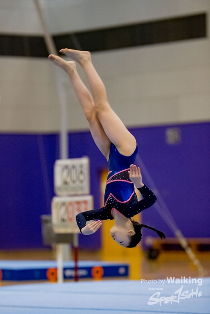 2020-01-19 Artistic Gym 0016