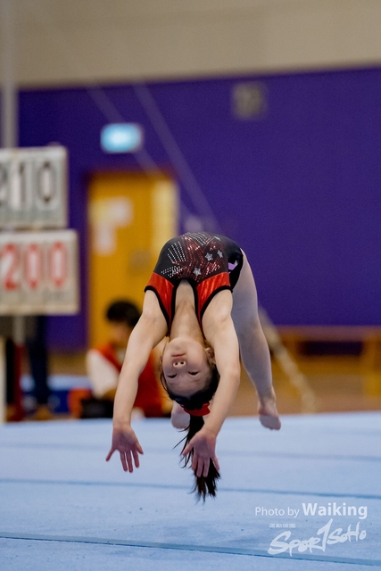 2020-01-19 Artistic Gym 0024