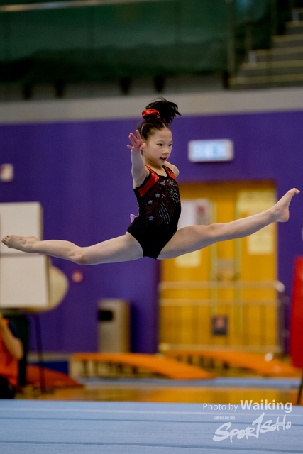 2020-01-19 Artistic Gym 0031