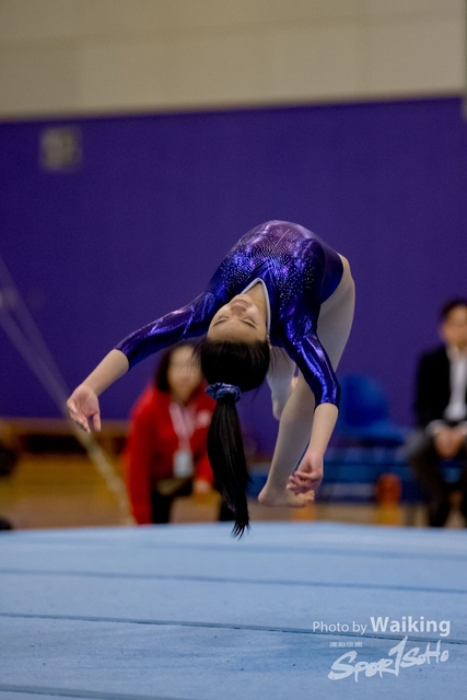 2020-01-19 Artistic Gym 0054