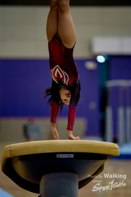 2020-01-19 Artistic Gym 0074