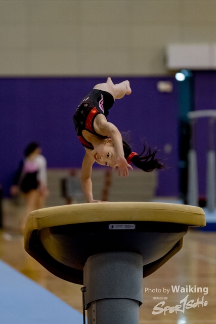 2020-01-19 Artistic Gym 0075