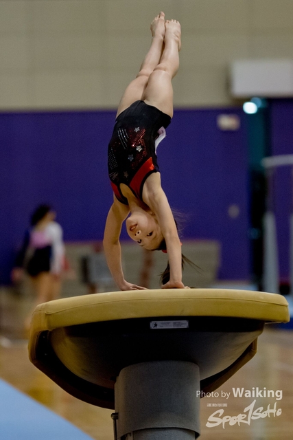 2020-01-19 Artistic Gym 0076