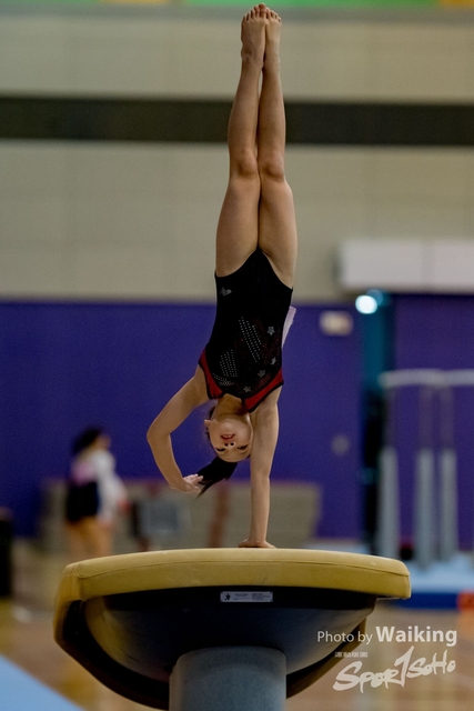 2020-01-19 Artistic Gym 0077