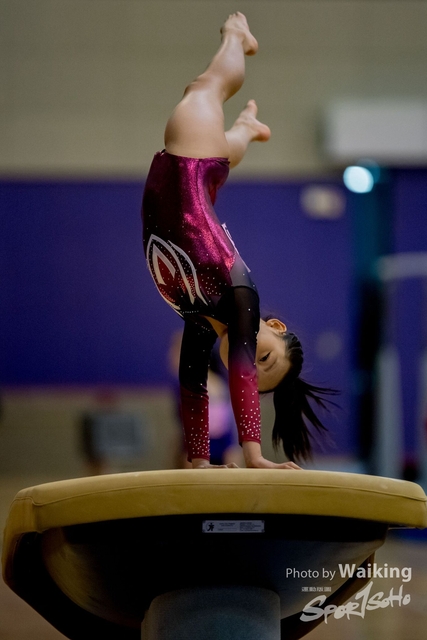 2020-01-19 Artistic Gym 0079