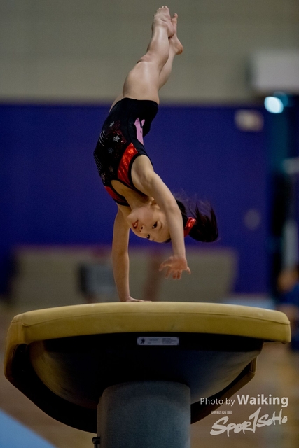 2020-01-19 Artistic Gym 0081