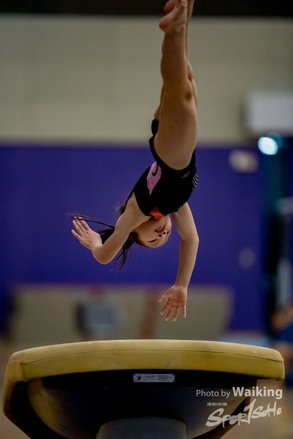 2020-01-19 Artistic Gym 0082