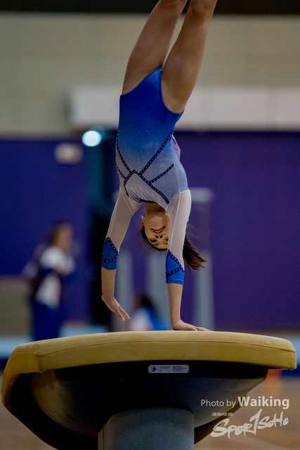2020-01-19 Artistic Gym 0087