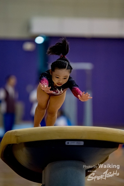 2020-01-19 Artistic Gym 0088
