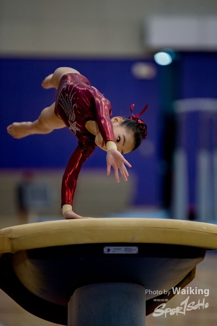 2020-01-19 Artistic Gym 0089