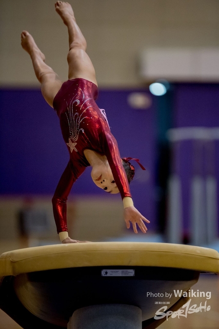 2020-01-19 Artistic Gym 0090