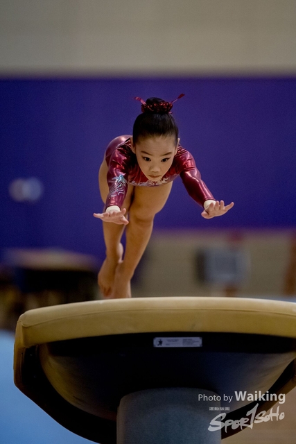 2020-01-19 Artistic Gym 0091