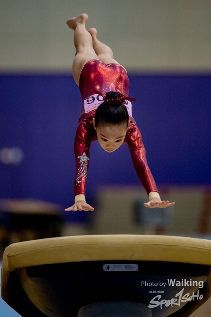 2020-01-19 Artistic Gym 0092