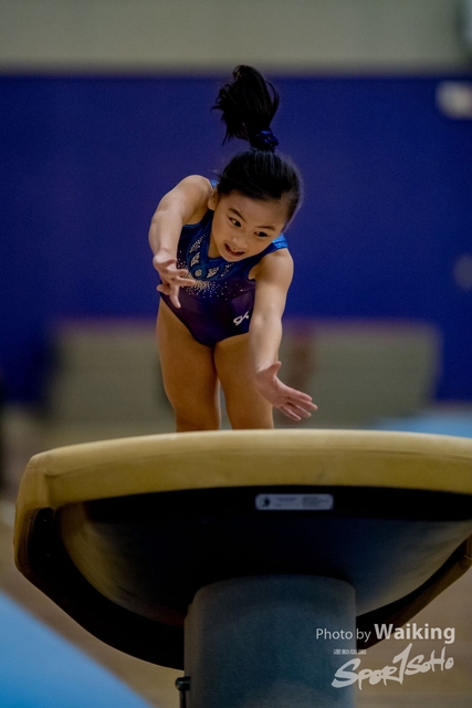 2020-01-19 Artistic Gym 0095